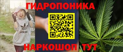 PSILOCYBIN Конаково